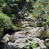 読み応えたっぷりのブログを随時発信